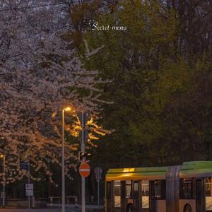 下载毛片吃母乳
